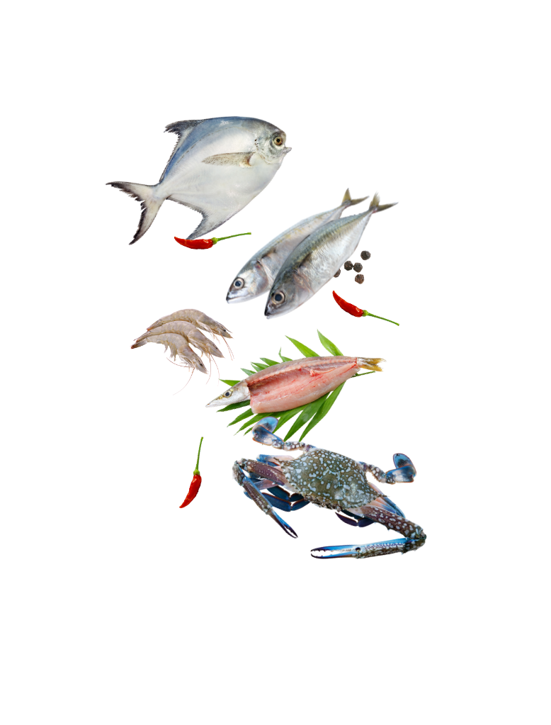 Our Expertise in Seafood Excellence