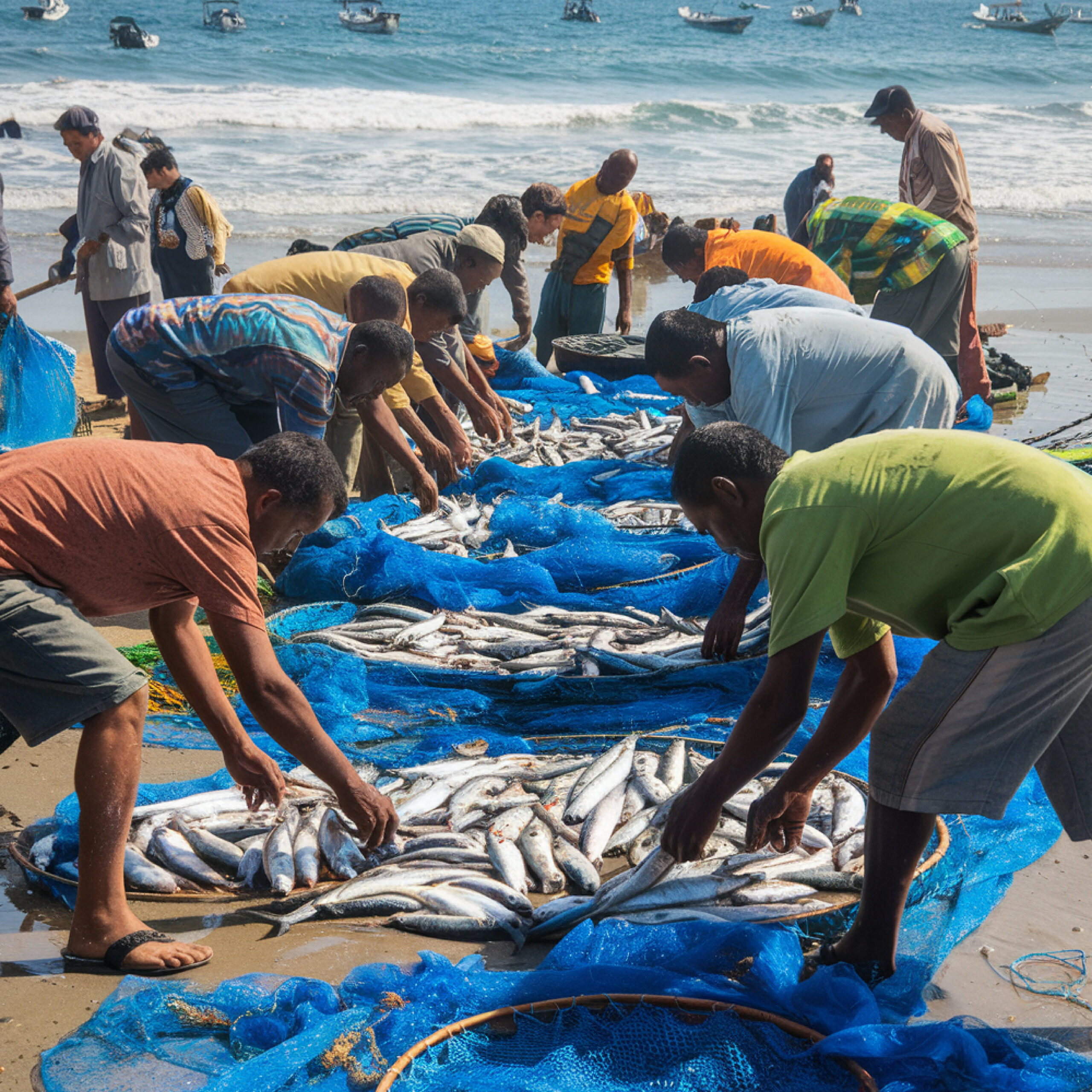 Sons of the Sea A Name Built on Hard Work -1